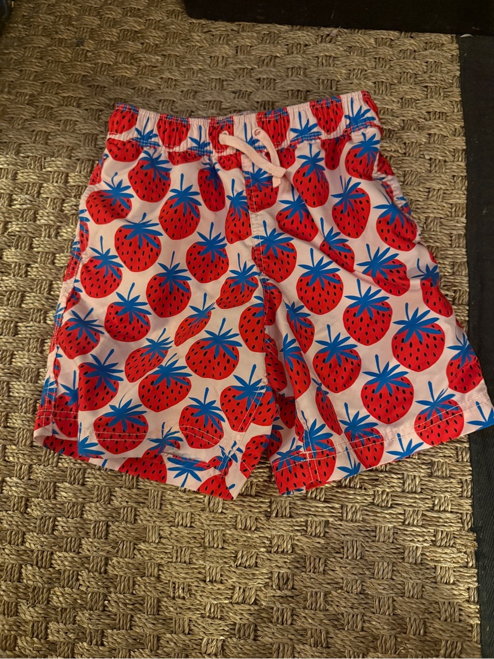 Hanna Andersson Pink Swim Shorts with Red Strawberry & Blue Leaves